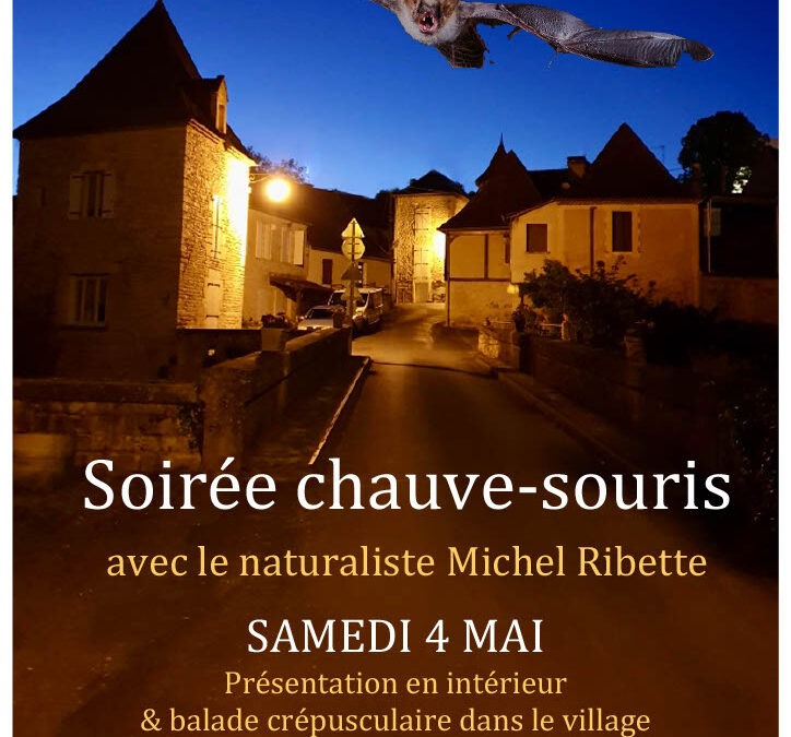 Soirée Chauve-Souris