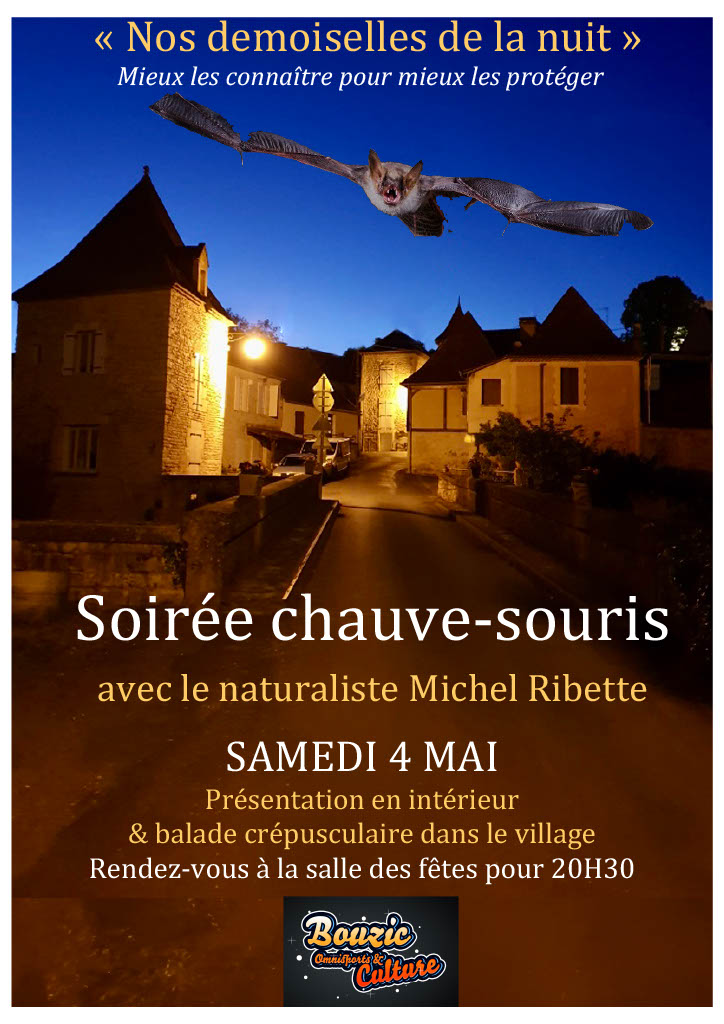 Soirée Chauve-Souris